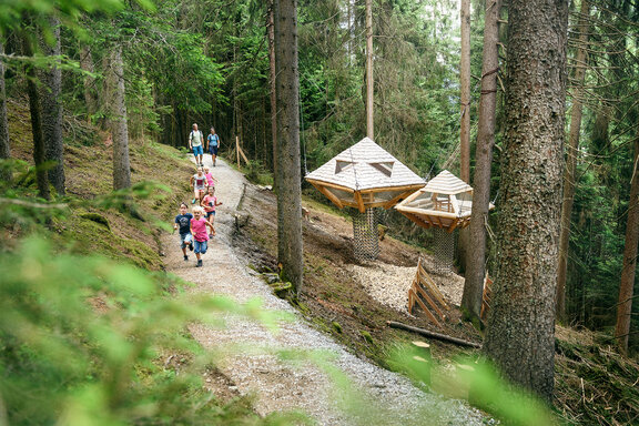 Stubai Baumhausweg Stubai Baumhausweg © TVB Stubai Tirol / Andre Schönherr